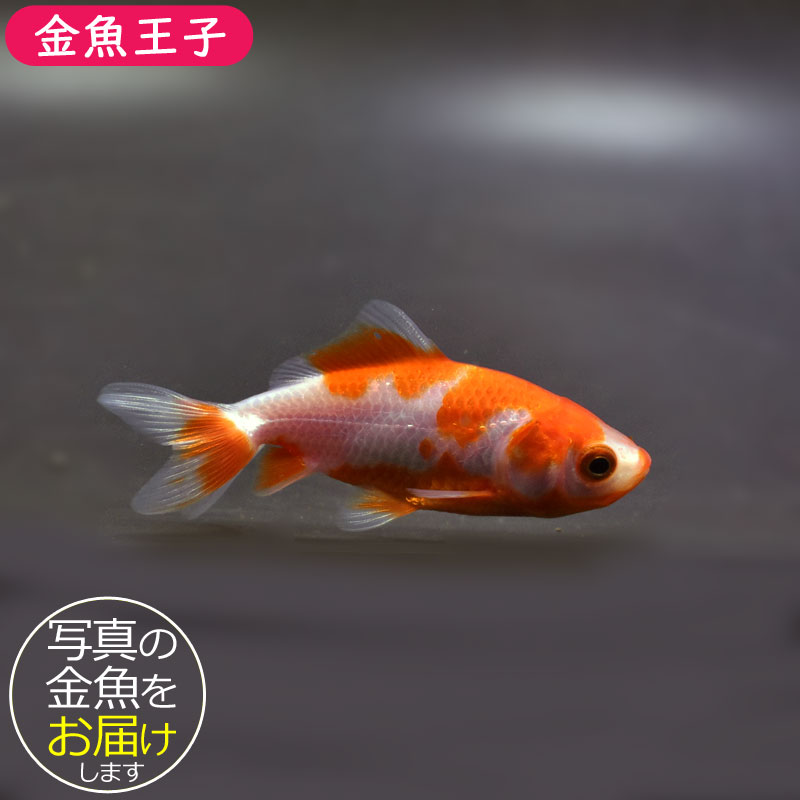 【8】なな様 富士通 lifebook U9310/E FMVU32TK1 ジャンク202209