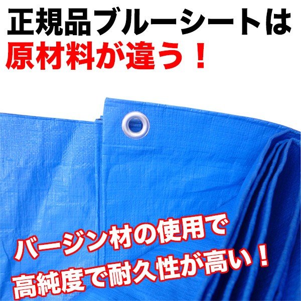 ��ˡ�͸����ۥ֥롼������ #3000������ 3.6m��5.4m������ 1�碨��������