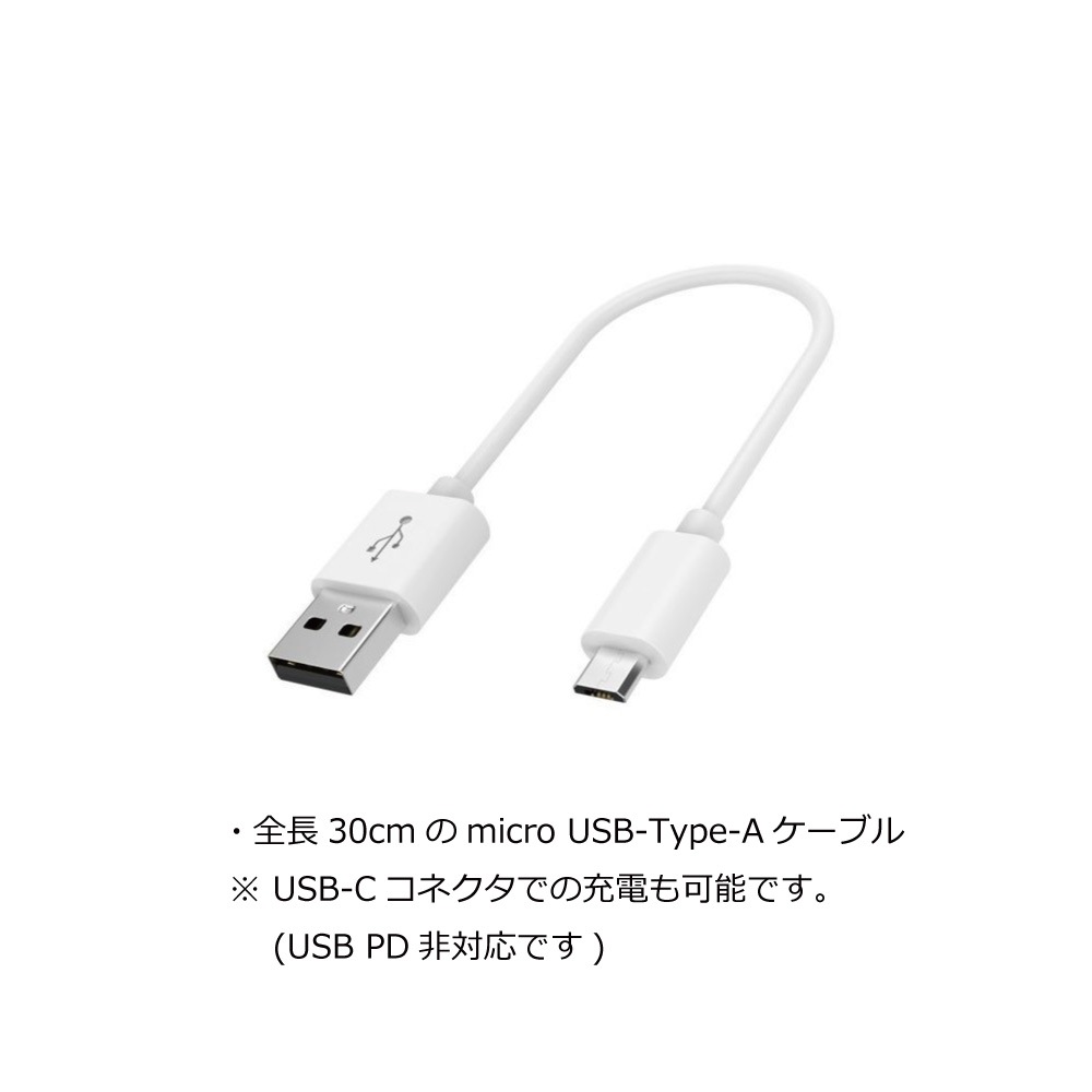 ����������USB��Х���Хåƥ꡼10,000mAh��PSE�ޡ���ǧ�ڡ�6151 (USB-C/microUSB)