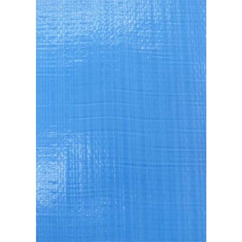 �֥롼�����ȡ����ʡ�1000��������������10����10��