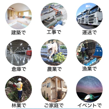 �֥롼�����ȡ����ʡ�1000��������������10����10��