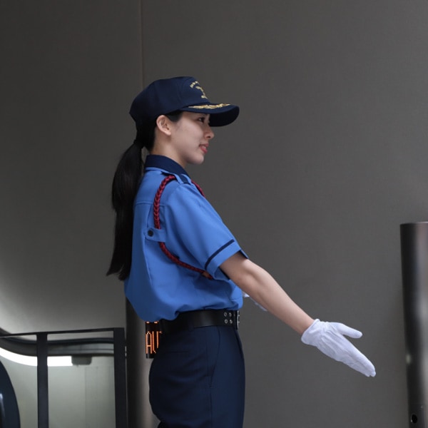  Ⱦµ(˥å) ֥롼 0011 ڼ