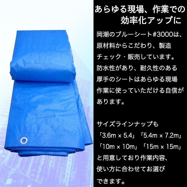 �ڸĿ͸����ۥ֥롼�����ȡ����ʡ�3000��������15����15����1��