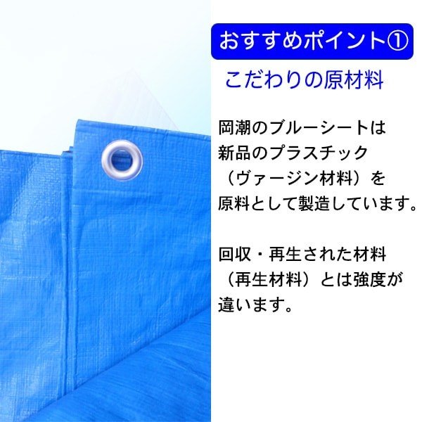 �ڸĿ͸����ۥ֥롼�����ȡ����ʡ�3000��������15����15����1��