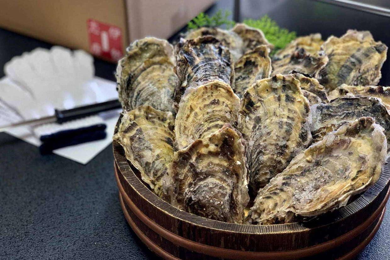 �ڻ�ľ����¢��Ū��Τ����̡�20��