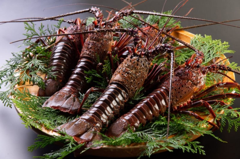 産直】活き伊勢海老 3尾 | 魚介・海産物 | おかげ横丁公式