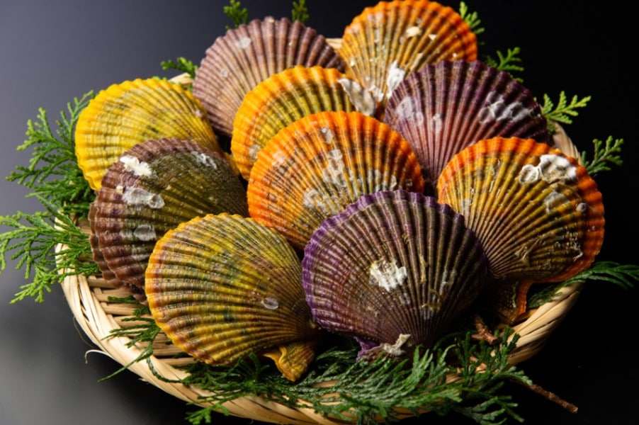 �ڻ�ľ��ɰ�𳭡�30��