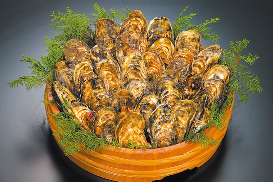 �ڻ�ľ����¢�۱�¼������30�ĳ��դ�