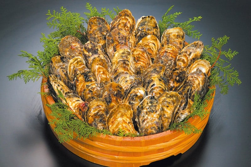 �ڻ�ľ����¢�۱�¼������20�ĳ��դ�