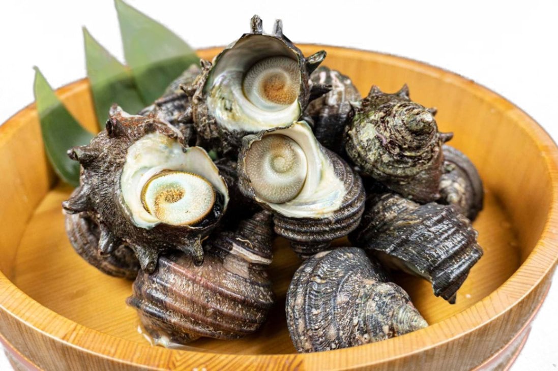 �ڻ�ľ����¢�ۻ��Ÿ������褭����������1kg