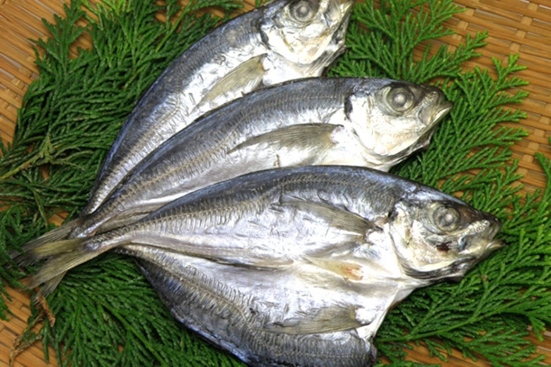 冷凍】アジの開き | 魚介・海産物 | おかげ横丁公式オンラインショップ