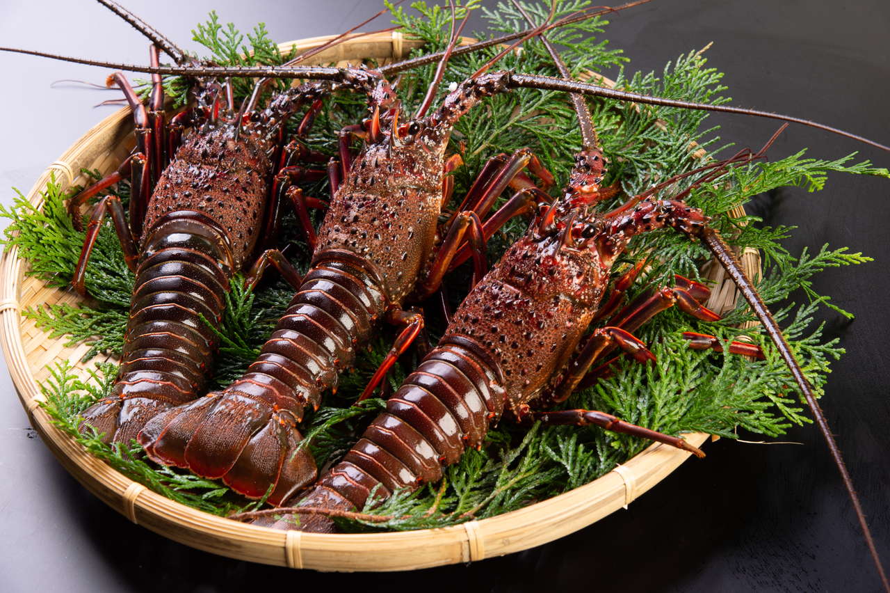 �ڻ��ťƥ饹�ۡڻ�ľ�۳褭������Ϸ��3��