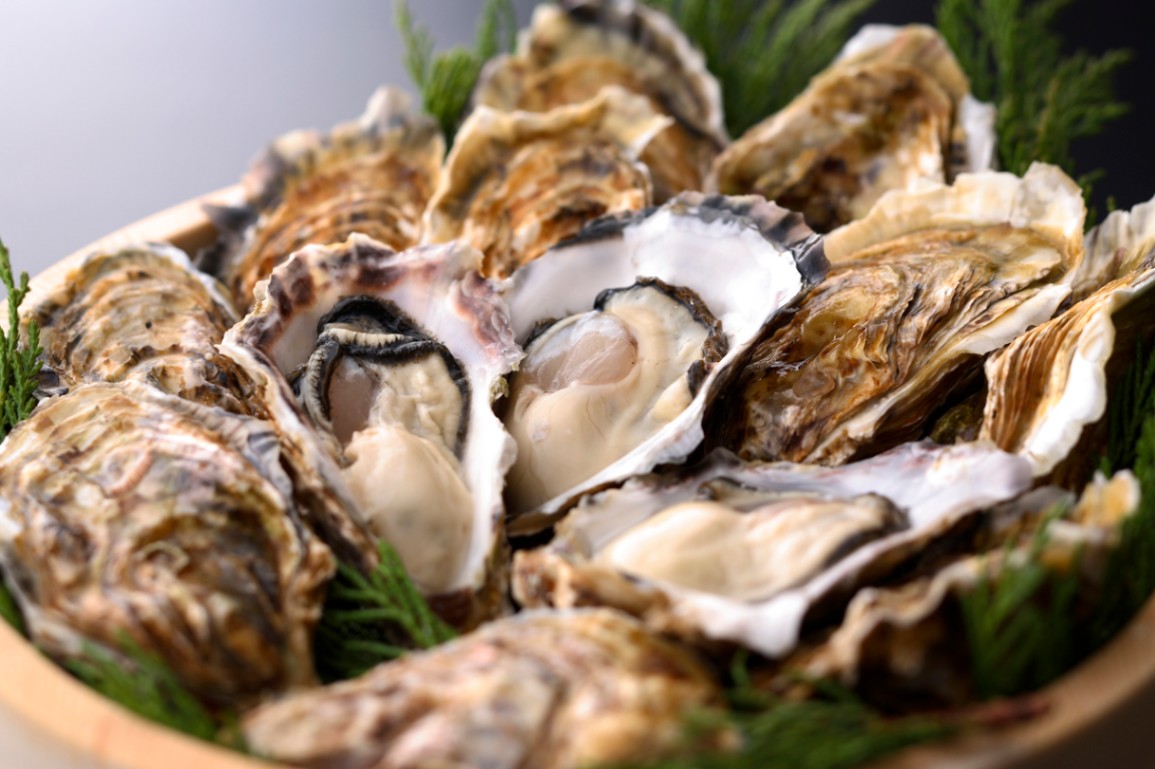 �ڻ��ťƥ饹�ۡڻ�ľ����¢��Ū�𤫤���30�ĳ��դ���������