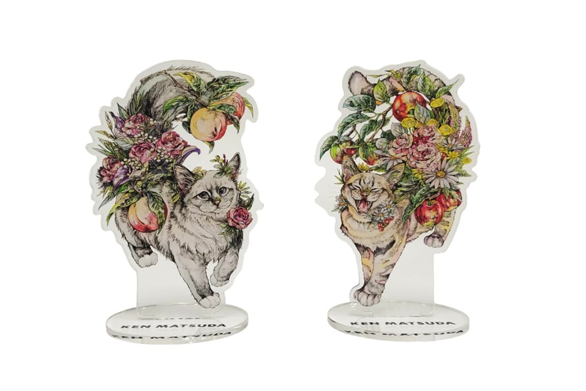 �ޥĥ����󡡥�����륹�����