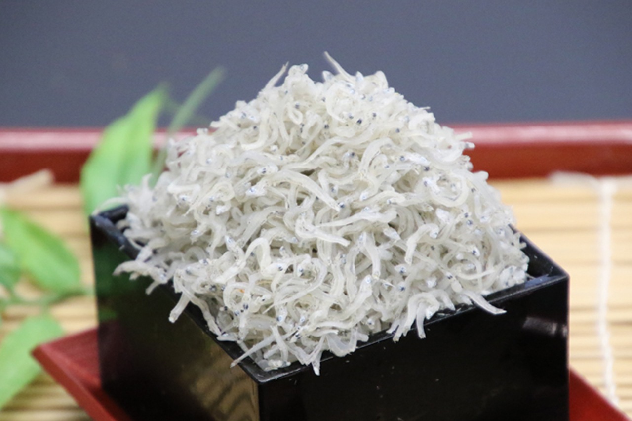 ����¢�ۤ�޽��������������