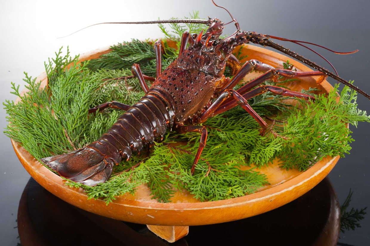 �ڻ�ľ�۳褭������Ϸ��2��