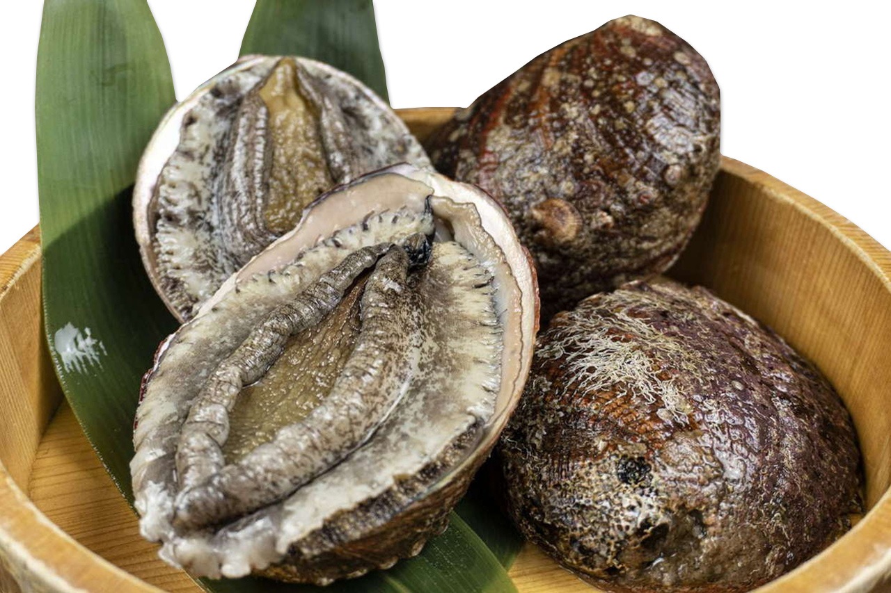 産直・冷蔵】三重県産 活きあわび 約1kg | 魚介・海産物