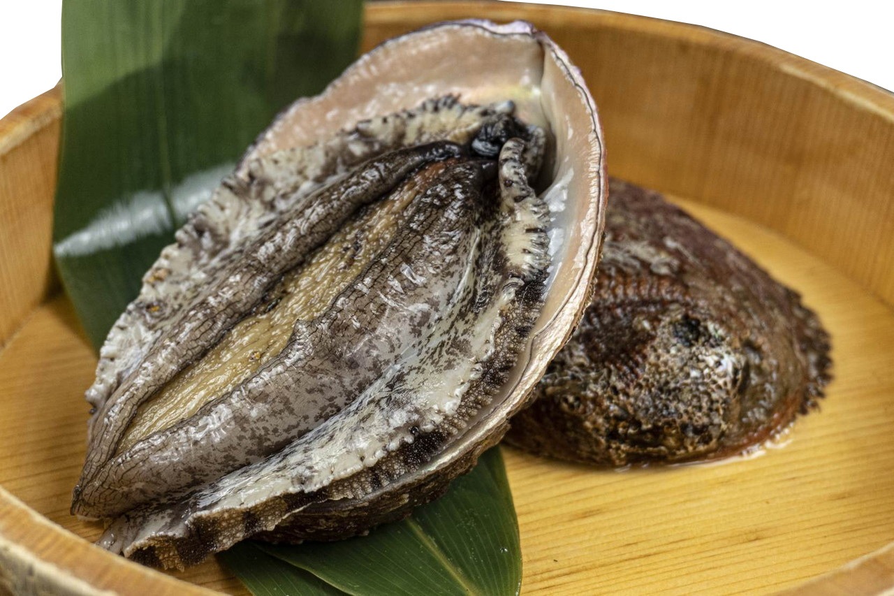 産直 三重県産 活きあわび 約500g 魚介 海産物 おかげ横丁公式オンラインショップ