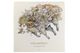 �ޥĥ����� �ɳݤ���������2027