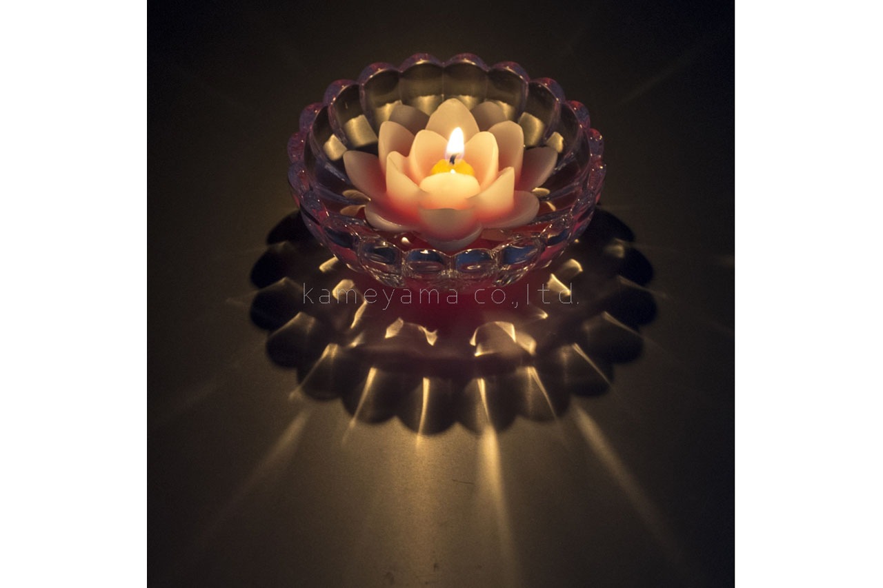 ϡ�������ɤι��Τ������