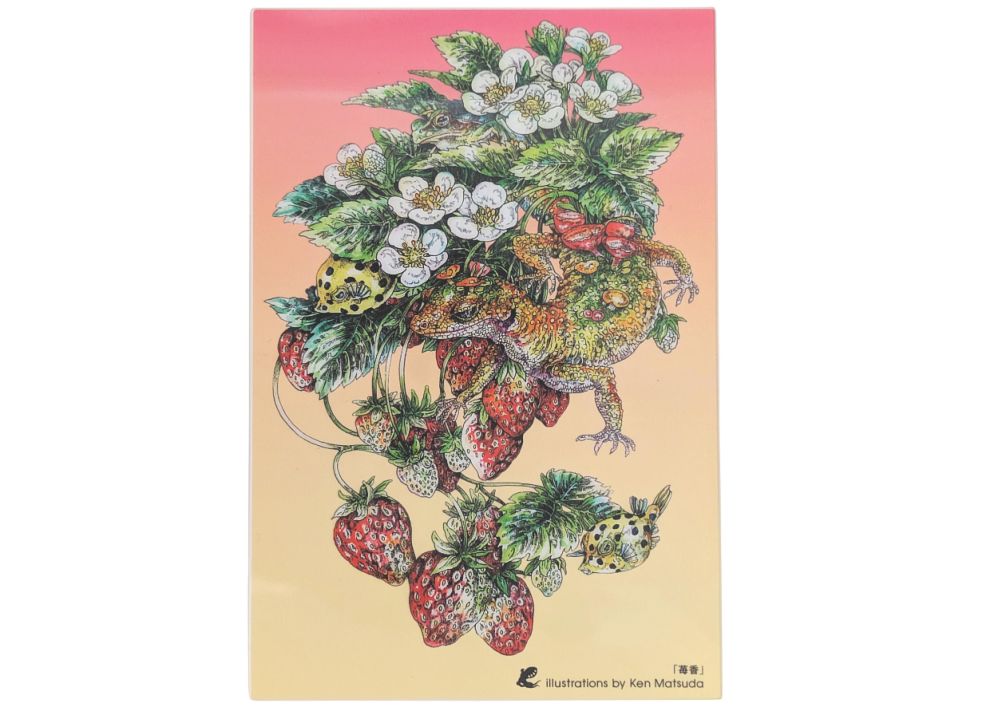 マツダケン クリアポストカード | ART and CULTURE 山徳 | おかげ横丁