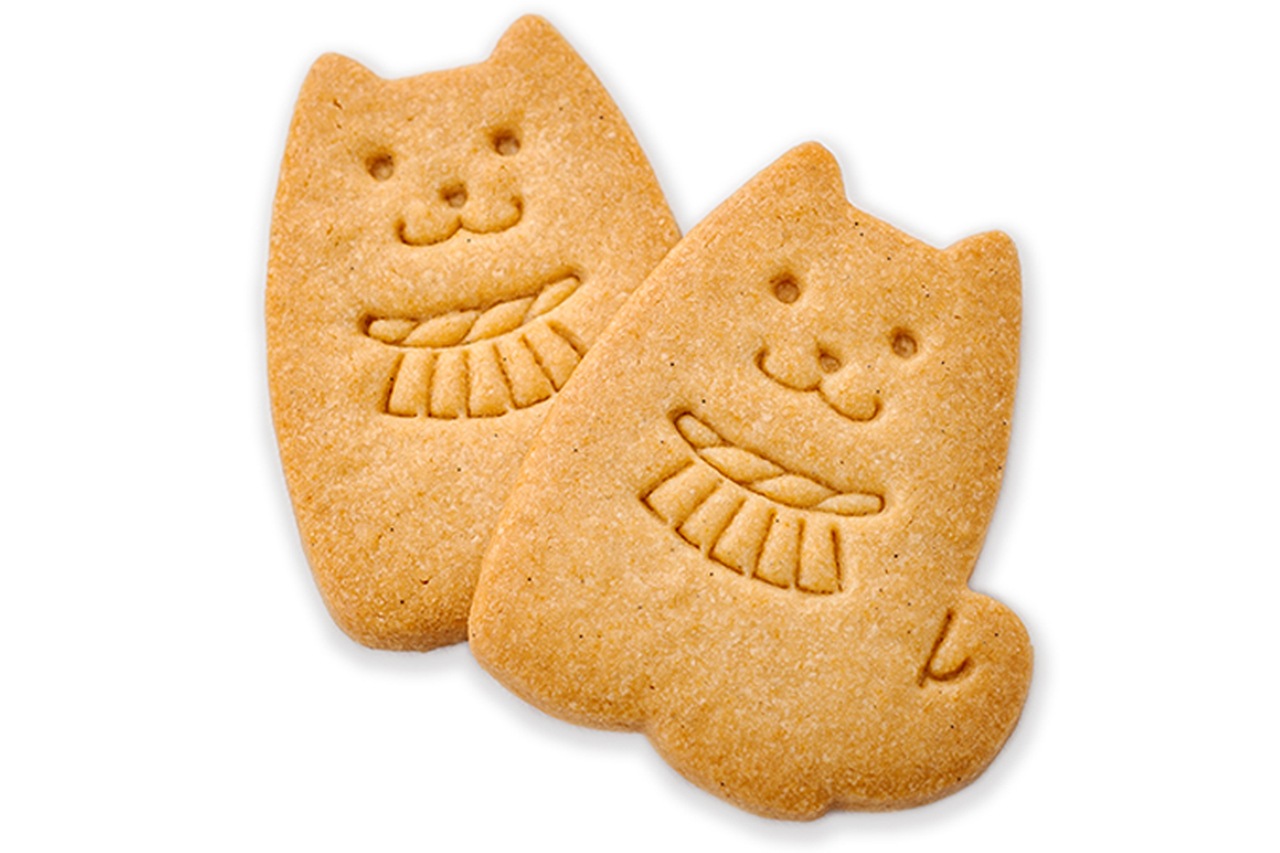 �����������֥졡6������