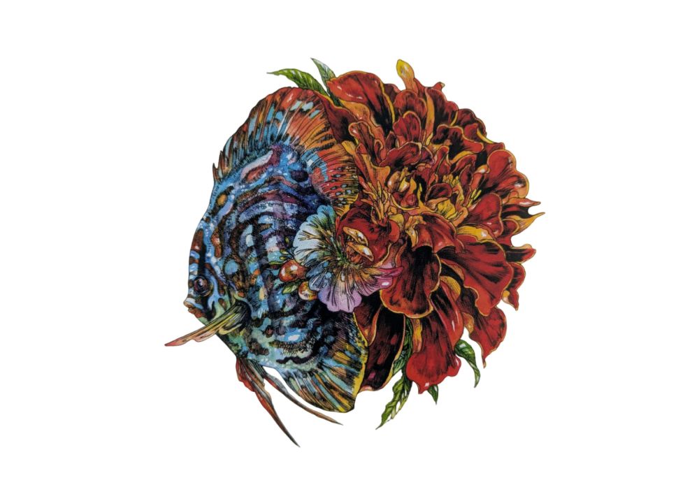 �ޥĥ����� �ݥ��ȥ����ɥ֥å�