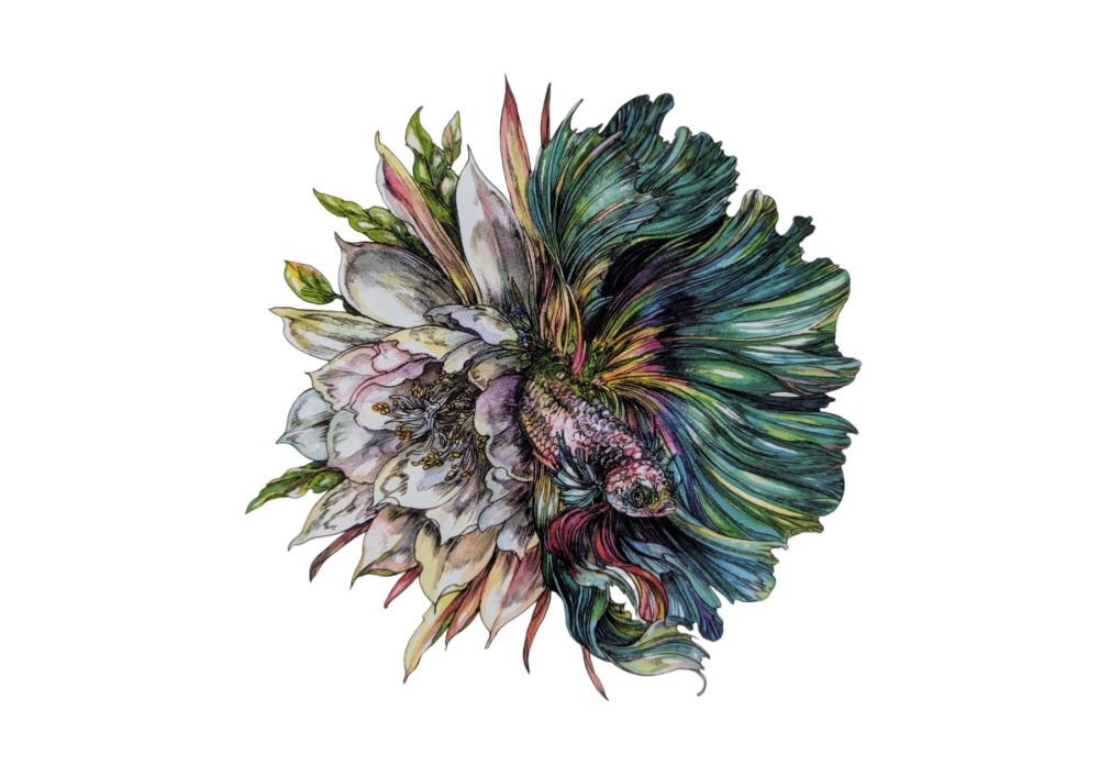 �ޥĥ����� �ݥ��ȥ����ɥ֥å�