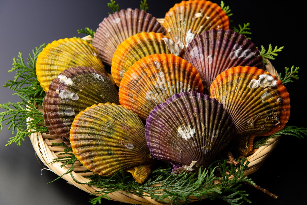 �ڻ�ľ��ɰ�𳭡�15��