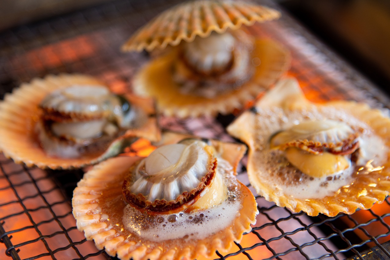 �ڻ�ľ��ɰ�𳭡�15��