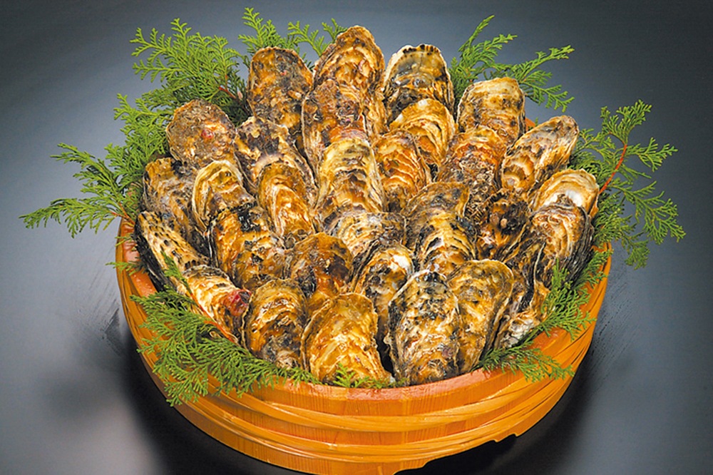 �ڻ�ľ����¢�۱�¼������30�ĳ��դ�