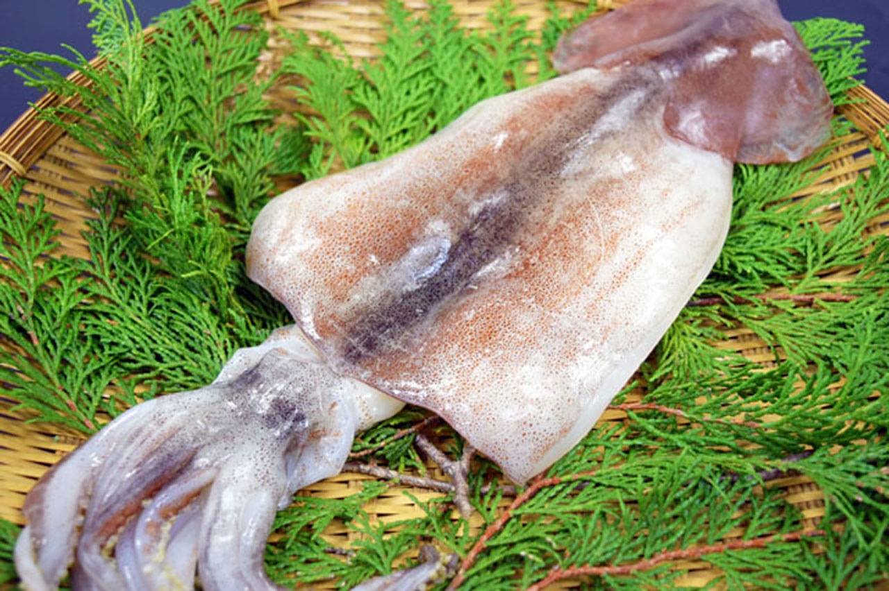 冷凍】イカ一夜干し | 魚介・海産物 | おかげ横丁公式オンラインショップ