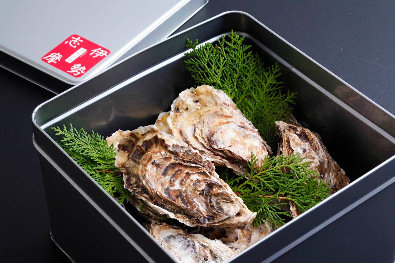 �ڻ�ľ����¢��Ū��Τ����̡�15��