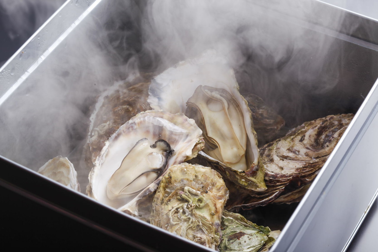 �ڻ�ľ����¢��Ū��Τ����̡�20��