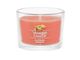 YANKEE CANDLE�����ͥ��㡼����֥顼�ߥ�