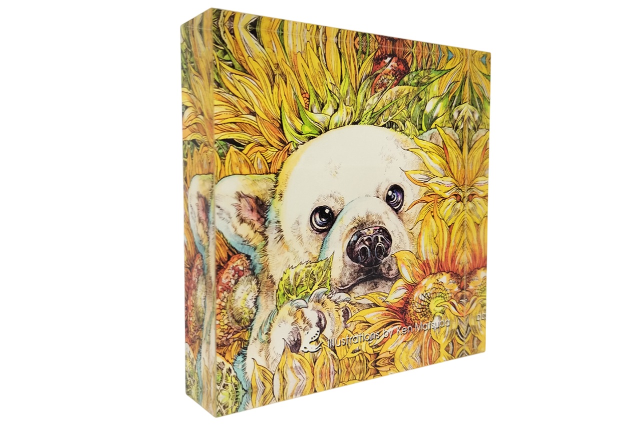 �ޥĥ����󡡥������֥��å�