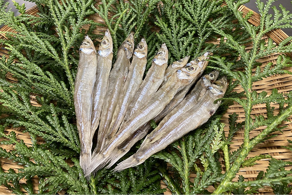 ������ۥ˥����ݴ���