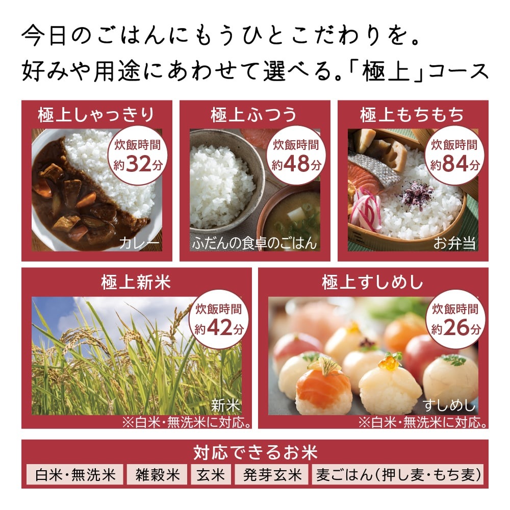 日立 RZ-Z100JM C IH炊飯器 絹成 5.5合炊き 圧力&スチーム ふっくら御膳 RZZ100JMC 送料無料 新品