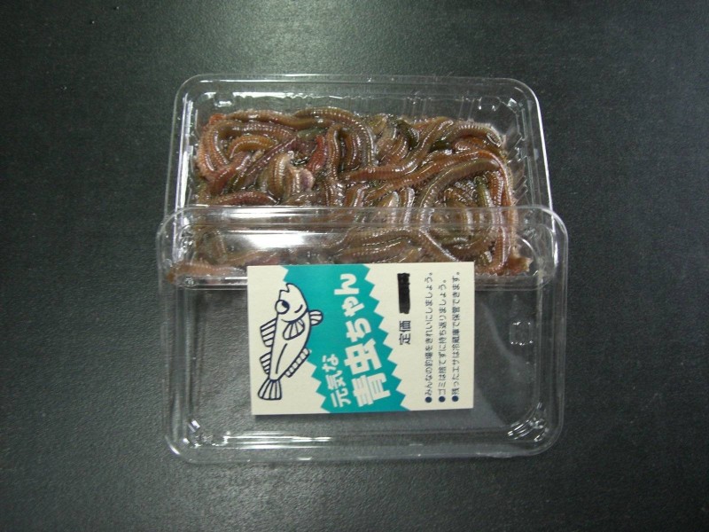 釣りエサ】 青イソメ(青虫) パック入り 約100g入り ※必ず【お届け日