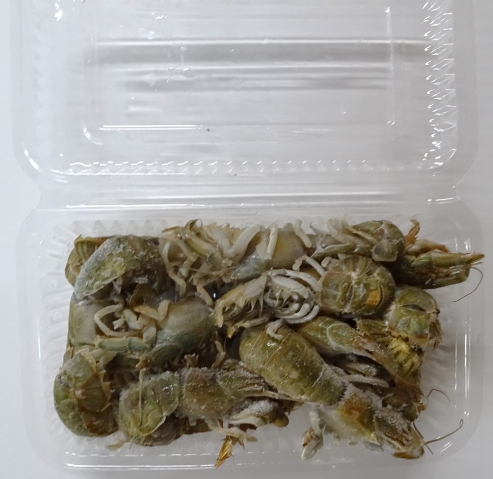 冷凍カメジャコ　180匹 ウナギの特攻エサ、冷凍カメジャコが入荷しました❗️ 粒も