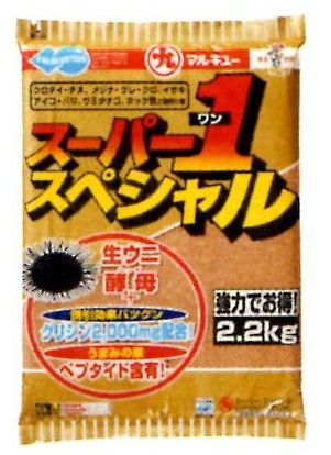 バフンウニ　２キロ　釣り　餌 石鯛 活バフンウニ 釣りエサ用 2キロ 四国/関西/中国地方限定