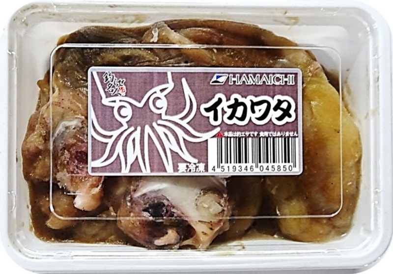 ꤨHAMAICHI勵200ꥨѡྦ