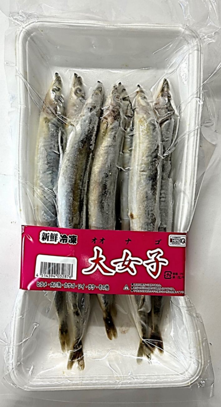 お魚さん大量抜き苗 9月20日 中国産 二歳 桜錦 1 メス 11センチ