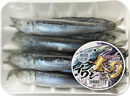 ヒロキュー 太刀イワシ タチウオ用大きめイワシ 約320g入り ≪釣り