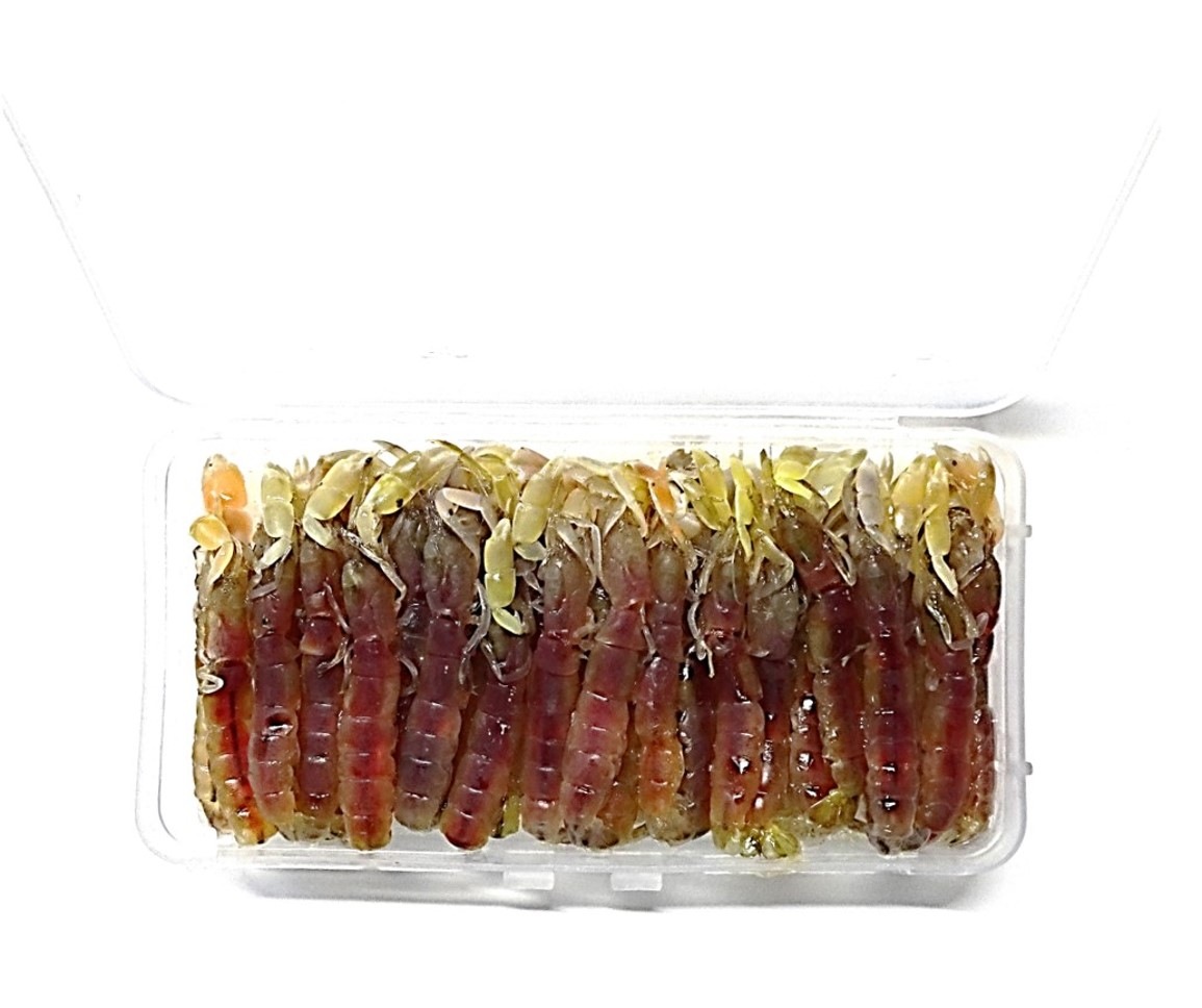 ����ꥨ���� ����ܥ���[���ྦ��] �����˥塼���뤷�ޤ����� ������������