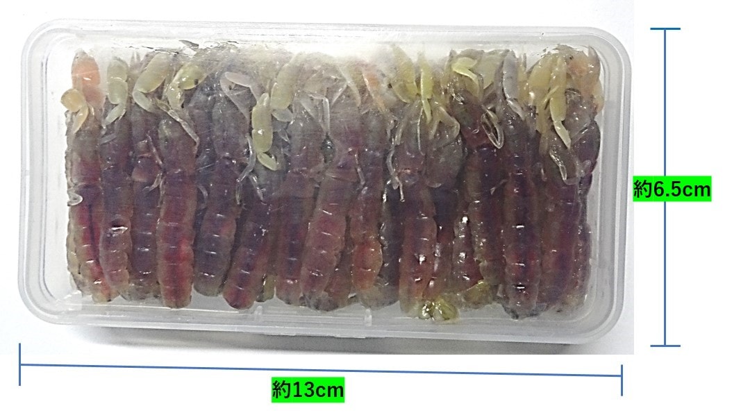 ����ꥨ���� ����ܥ���[���ྦ��] �����˥塼���뤷�ޤ����� ������������