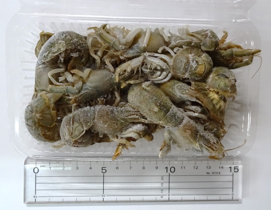 ����ꥨ���ۡ����ॲ����ʥ��᥸�㥳�����ʥ��㥳���澮������(�������Ϻ�����ˤʤ�ޤ�)�������٤��ޤ�����