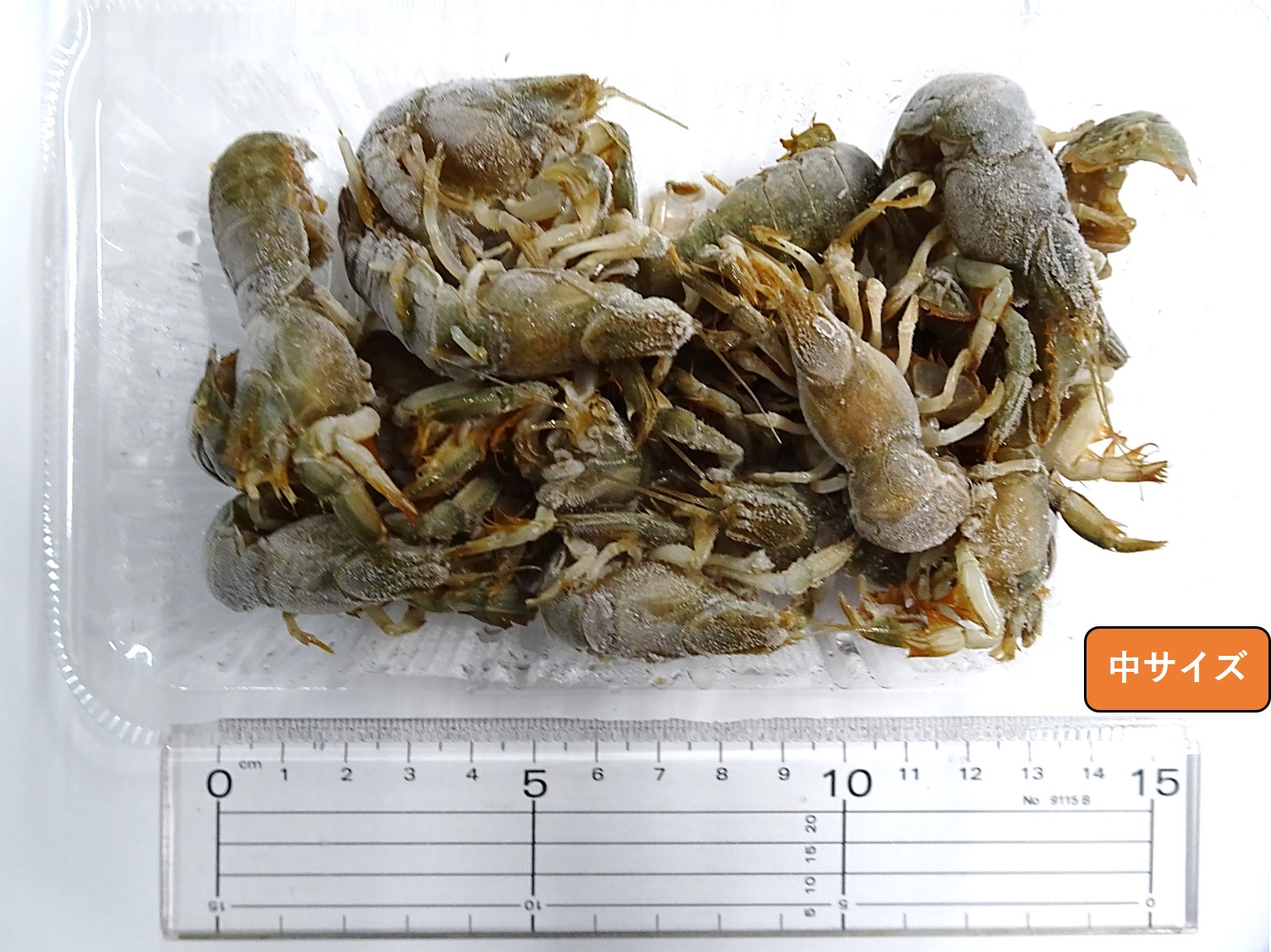 ����ꥨ���ۡ����ॲ����ʥ��᥸�㥳�����ʥ��㥳���澮������(�������Ϻ�����ˤʤ�ޤ�)�������٤��ޤ�����