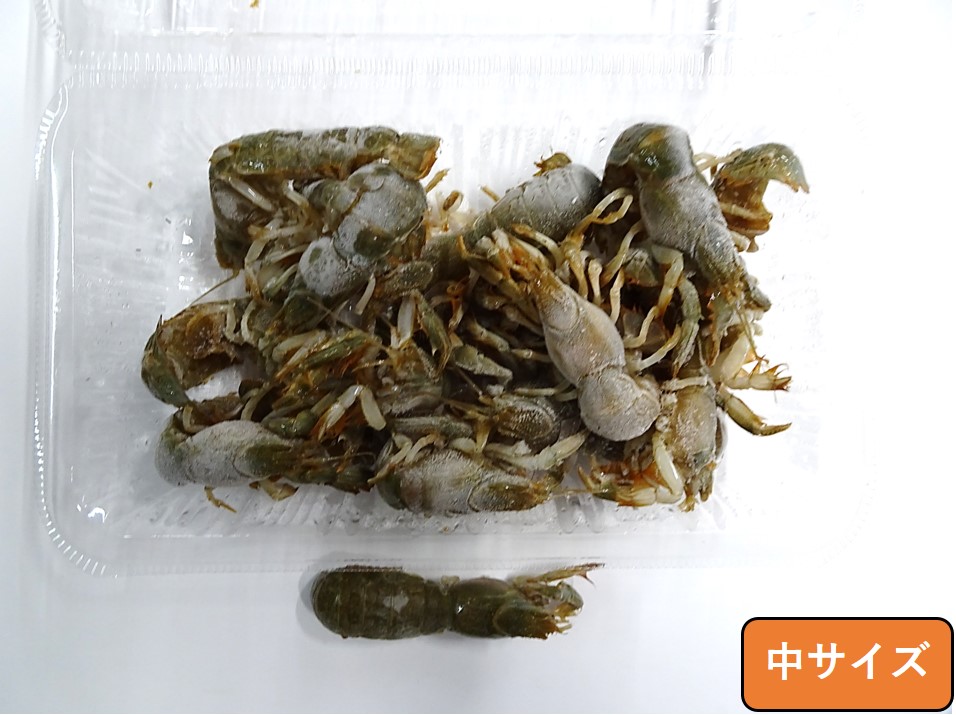 ����ꥨ���ۡ����ॲ����ʥ��᥸�㥳�����ʥ��㥳���澮������(�������Ϻ�����ˤʤ�ޤ�)�������٤��ޤ�����