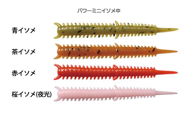 �ڥͥ��ݥ���ȯ���ۥ��եȥ��ڥޥ륭�塼�ۥѥ�ߥ˥����ᡡ2019ǯ7�� ����������������ȯ��